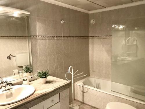 Apartamento Palmeira Gale