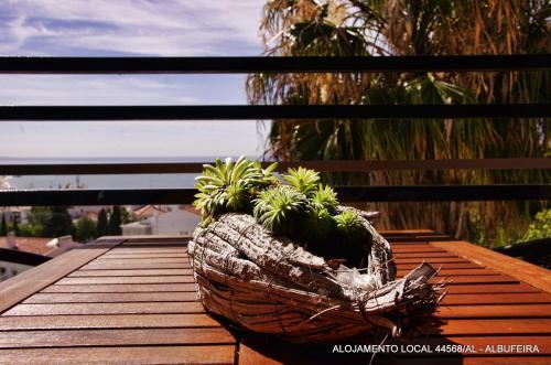 Apartamento Holidays Albufeira - F�rias de Sonho