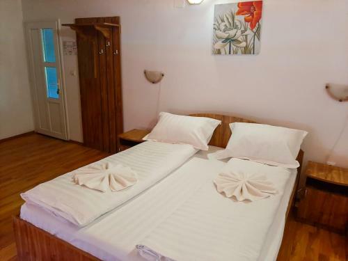 Hotel Pensiunea Casa Ecologica