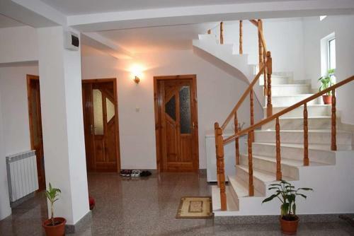 Hostal Casa Visescu
