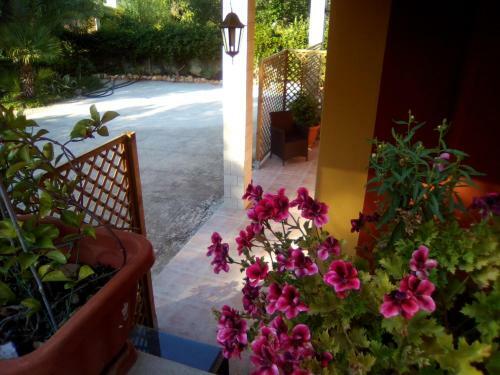 Bed & Breakfast Casa Te La Bradamante
