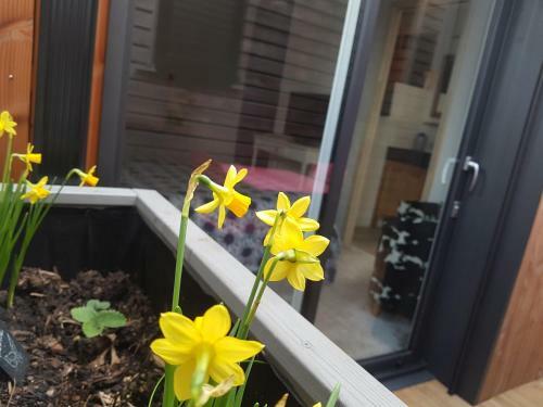 Apartamento Angers Green Lodge