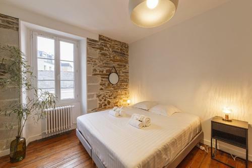 Grande Maison Chaleureuse Angers Centre