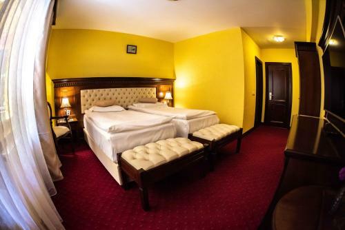 Hotel Trei Brazi