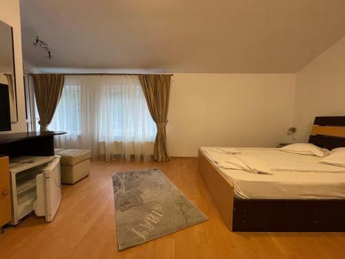 Hostal Pensiunea Izvoare Olanesti 3***