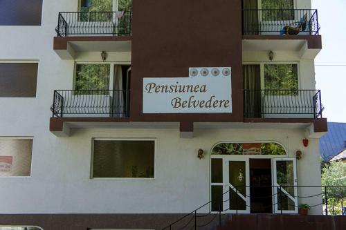 Hostal Belvedere Olanesti