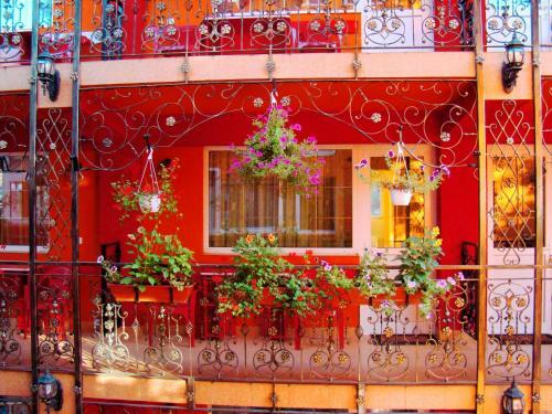 Hostal Casa Nicoli