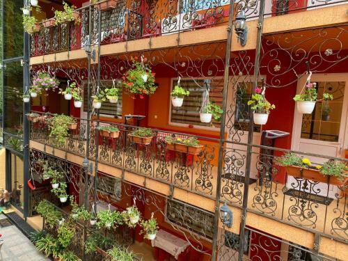 Hostal Casa Nicoli