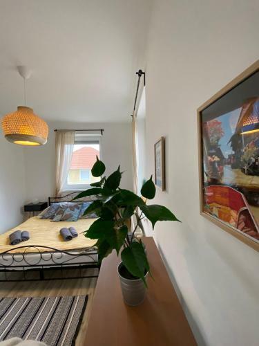 Hillside Apartman