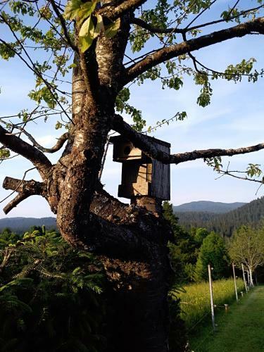 Apartman Ris Gorski Kotar Crni Lug