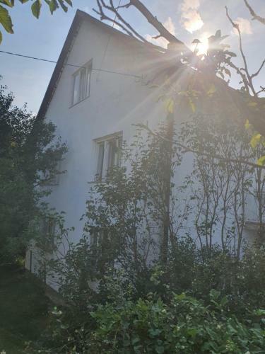 Apartman Runolist