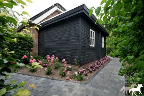 B&B De Konik Bourtange