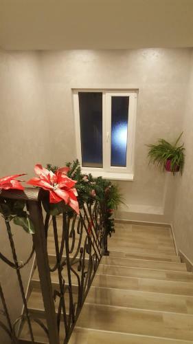 Apartamento Sasa Plus