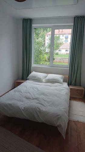 Apartamento Comoara H??ma?ului