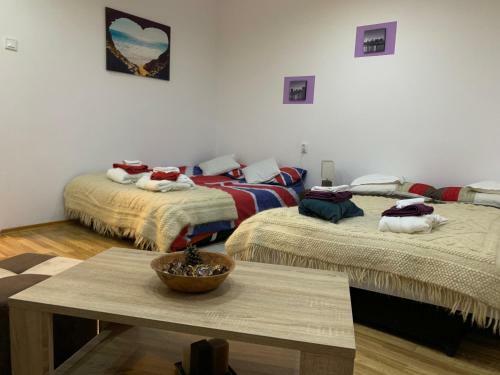 Riverside Apartment Transylvania