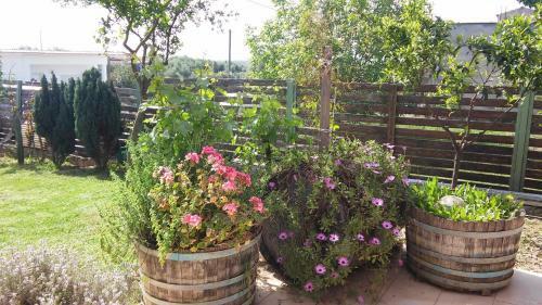 Relaxing Vila At Avramio Village