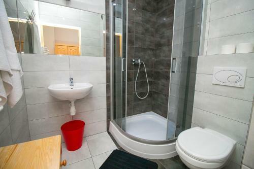 Apartamento Willa Nad Potokiem
