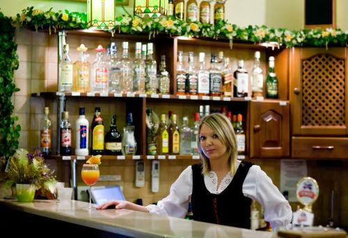 Hotel Topor�w