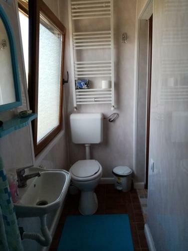 Hostal Pensiunea Oana