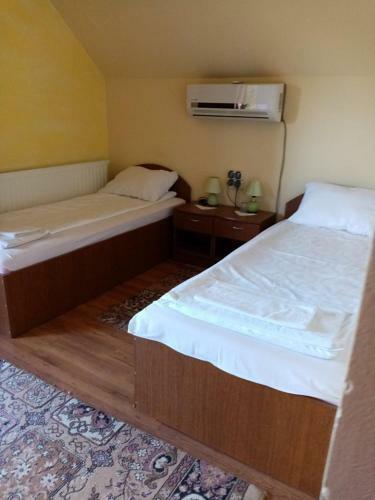 Hostal Pensiunea Oana