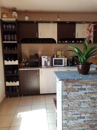 Hostal Pensiunea Oana