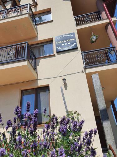 Apartamento Pensiunea Agroturistica Anca&ioana