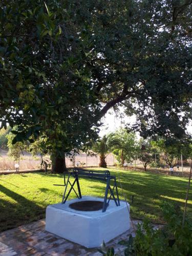 Archaia Ilida Estate