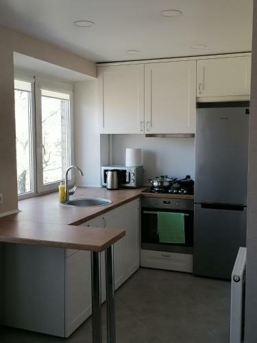 Klaipeda Town Center Apartment