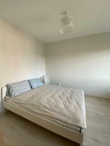 New Renovated Apartment