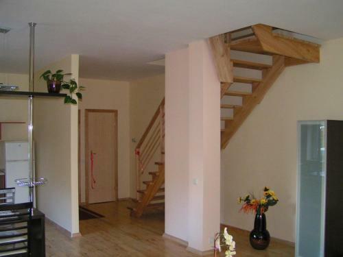 Vip Apartamentai Luize