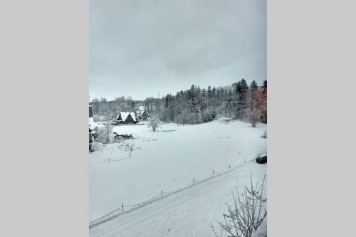 Apartament White Bia?y Dunajec