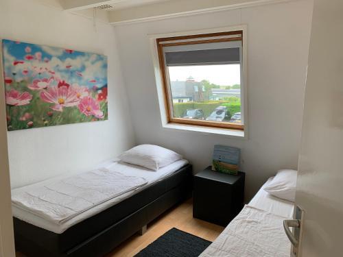 Park Schoneveld, Zeester 24