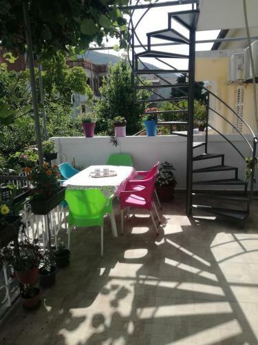 Kiwi Apartments Budva