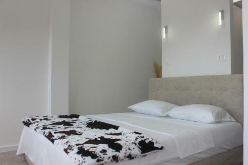 Misisuone Studio Apartment Budva