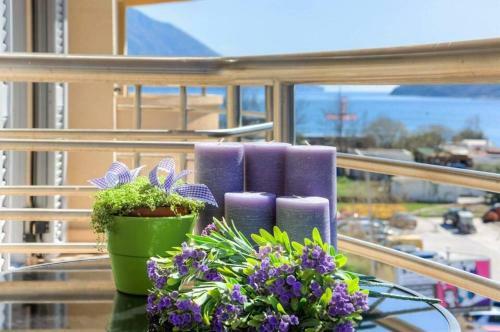 Apartamento City M