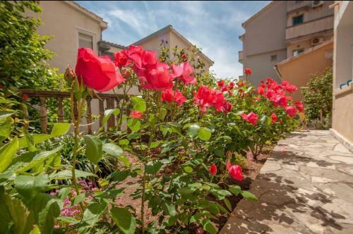 Apartamento Guest House Zara