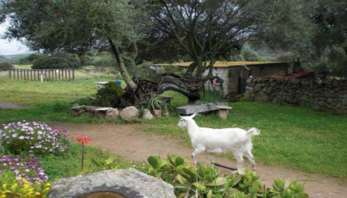 Agroturismo Stazzu Lu Malchesi