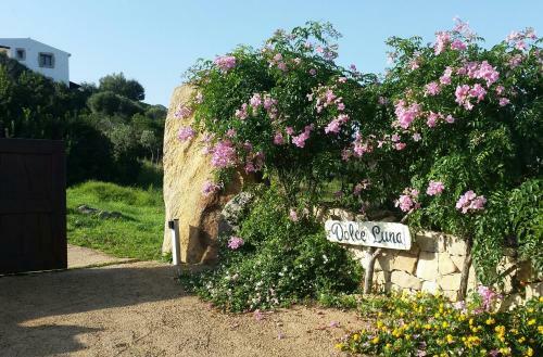 Bed & Breakfast Dolce Luna