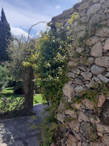 Apartamento Stazzzu Solianu