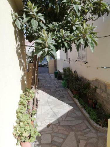 Hostal San Benedetto