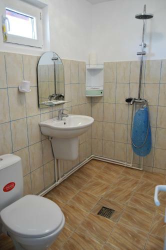 Hostal Pensiunea Zelezneac