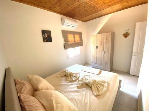 Lena?s Traditional Villa