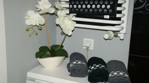 Apartament Glamour 24h