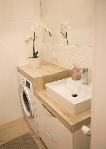 Apartament Royal Place I Jurowiecka 17