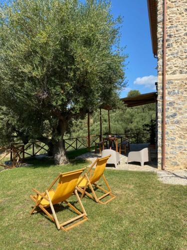 Apartamento Casolare Cento Ulivi Luxury & Charme