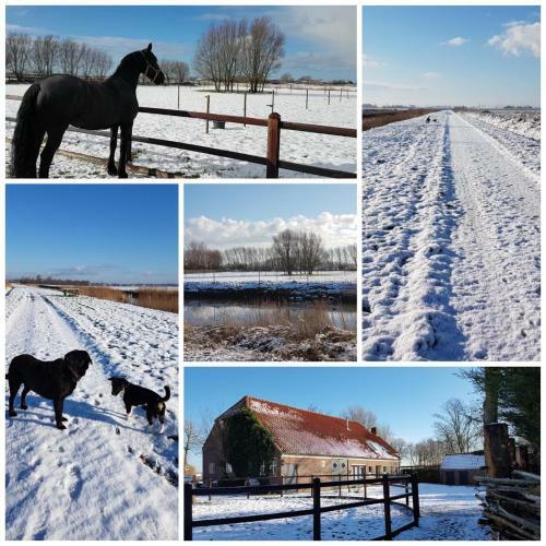 Zeeuwse Landhoeve