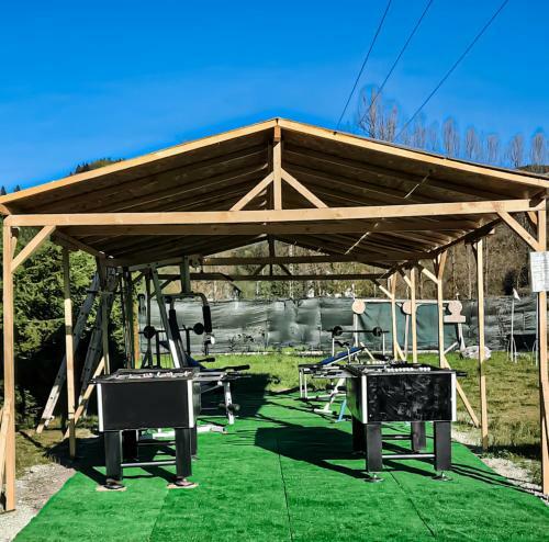 Lodge Cabana Schiorilor