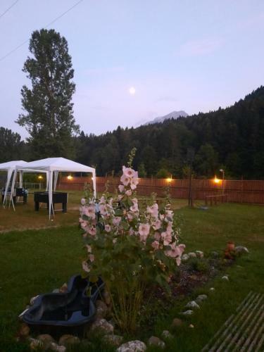 Lodge Cabana Schiorilor