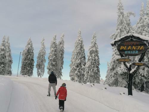 Apartma Ro?le - Rogla