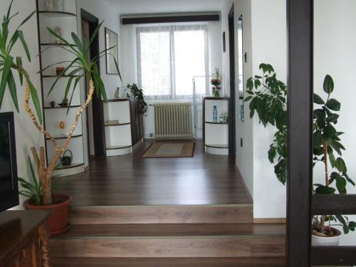 Apartamento Keresztapa Vend�gh�z